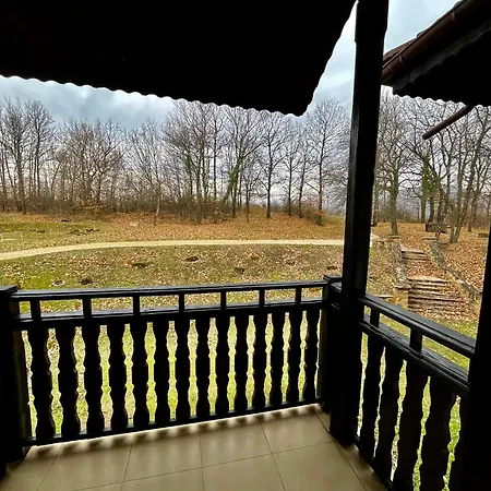 геша форест 3