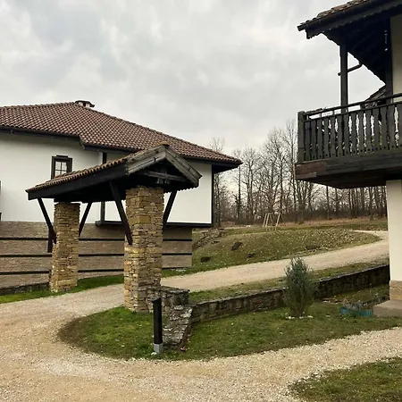 геша форест 3