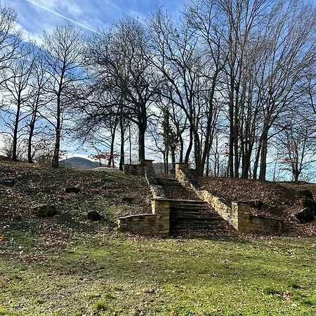 геша форест 3 *