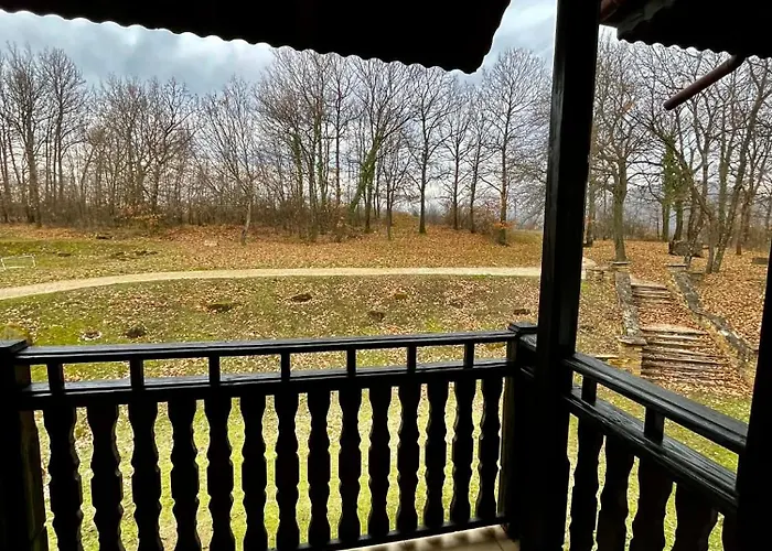 геша форест 3