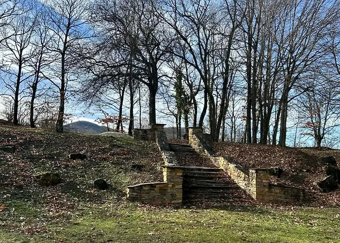 геша форест 3 *